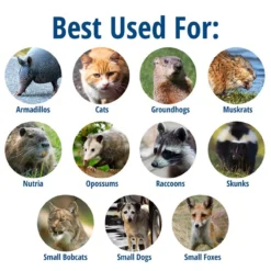 Havahart 1045 Live Animal Two-Door Trap -Home & Garden Zone 1045 1 698 MediaPgLarge 09388.1615747402