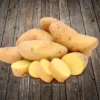 Bellanita Yellow Fingerling Seed Potato, 1lb