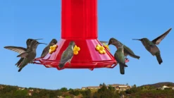 Perky Pet Yellow Repalcement Flowers, 9pc -Home & Garden Zone 18110102 47306.1612982300