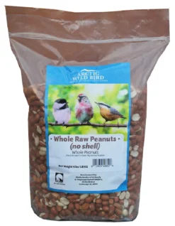 Arctic Wild Bird Raw Peanuts Out Of The Shell
