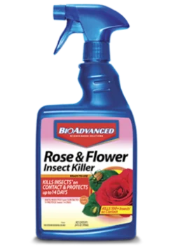 Bayer Roseflower Bug RTU, 24 Oz