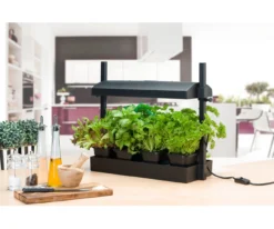 SunBlaster Micro T5 Grow Light Garden, Black -Home & Garden Zone SL1600198 3 52066.1644949347