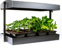 SunBlaster T5 Grow Light Garden, Black -Home & Garden Zone SL1600200 2 72290.1644949571