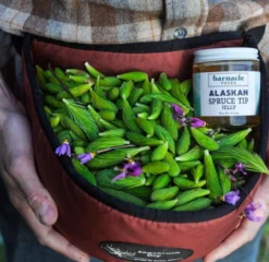 Barnacle Spruce Tip Jelly, 4.6oz -Home & Garden Zone ScreenShot2021 01 21at8.11.34AM 1800x1800 63471.1635185261