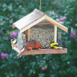 Home & Garden Zone 35 Perky Pet Deluxe Chalet Cedar Feeder