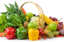 Jobe's Organics All Purpose Fertilizer Spikes -Home & Garden Zone blob 06131.1622062893