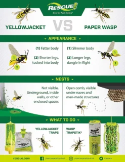 Rescue Yellowjacket Traps 15 Rescue Yellowjacket Traps -Home & Garden Zone blob 28591.1616781281