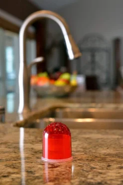 Rescue Fruit Fly Trap Attractant Refill -Home & Garden Zone blob 34852.1616777849