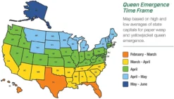 Rescue Reusable Yellowjacket Trap -Home & Garden Zone blob 58799.1616783282