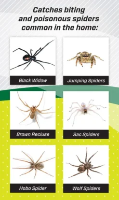 Rescue Spider Traps Ready To Use, Double-Sided, 3pk -Home & Garden Zone blob 66950.1616775127