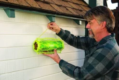 Rescue TrapStik For Wasps -Home & Garden Zone blob 75521.1616777137