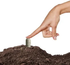 Jobe's Organics All Purpose Fertilizer Spikes -Home & Garden Zone blob 86846.1622062893