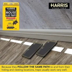 Harris Pre-Baited Mouse Glue Traps, Non-Toxic And Fully Disposable, 4pk -Home & Garden Zone blob 87328.1616717452