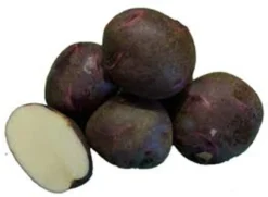 Purple Viking Seed Potato, 1lb
