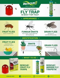 Rescue Fruit Fly Trap Attractant Refill -Home & Garden Zone blob 92128.1616777849