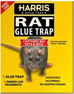 Harris Rat Glue Trap
