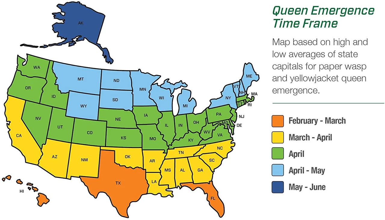 Rescue Yellowjacket Traps 7 Rescue Yellowjacket Traps - Image 7
