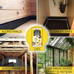 Harris GB-5 Mouse & Rat Trap -Home & Garden Zone blob 98444.1616717857