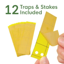 BioCare Gnat Stix, 12pc 8 BioCare Gnat Stix, 12pc -Home & Garden Zone eb7300 biocare gnatstixtrap 05 600x600 18665.1633642974