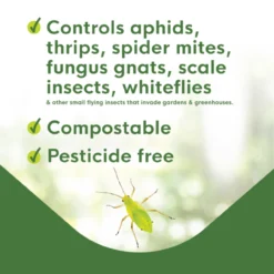 BioCare Aphid And Whitefly Trap, 4 Pack -Home & Garden Zone eb7400 biocare aphidwhiteflytrap 07 600x600 29794.1633643398